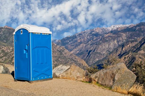 Best Portable bathroom rental  in North Branch, MI