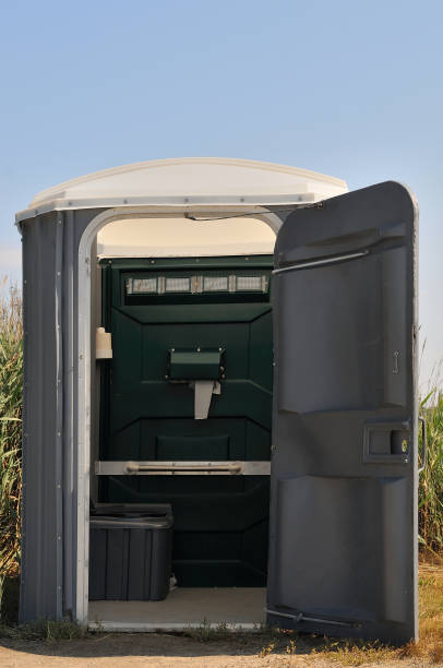 Best Local porta potty services  in North Branch, MI